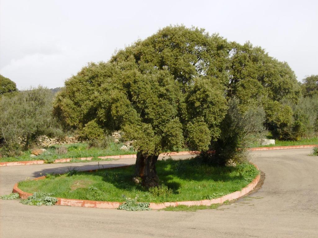 Country house Castellinaria Orroli